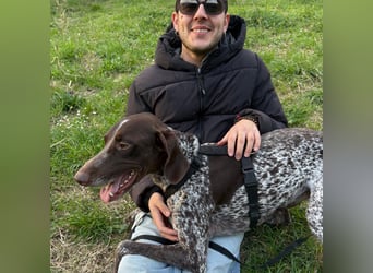 Max - gute Laune auf vier Pfoten sucht seine sportlichen Menschen für gemeinsame Abenteuer