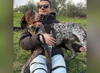 Max - gute Laune auf vier Pfoten sucht seine sportlichen Menschen für gemeinsame Abenteuer