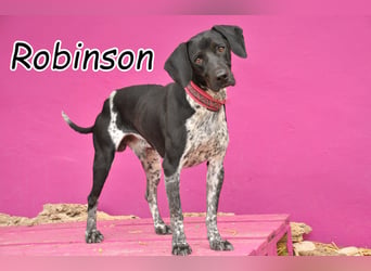 Wer möchte Robinson die Chance auf ein glückliches Leben schenken?