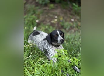 Graziöse Tina sucht ihr Zuhause!