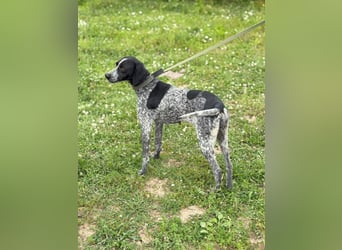 Graziöse Tina sucht ihr Zuhause!