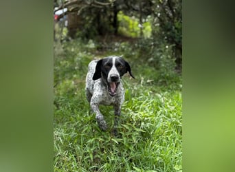 Graziöse Tina sucht ihr Zuhause!