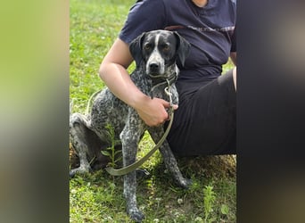 Graziöse Tina sucht ihr Zuhause!