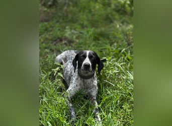 Graziöse Tina sucht ihr Zuhause!