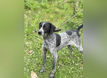 Graziöse Tina sucht ihr Zuhause!