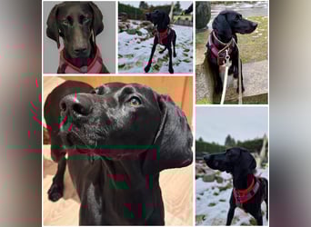 Morena, clever, sehr sozial und freundlich