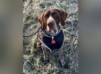 Ragnar, sehr menschenbezogen und freundlich