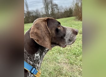 Ragnar, sehr menschenbezogen und freundlich