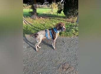 Ragnar, freundlich und sehr sozial