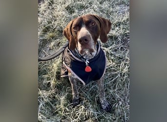 Ragnar, freundlich und sehr sozial