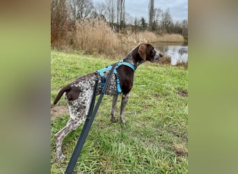 Ragnar, sehr menschenbezogen und freundlich