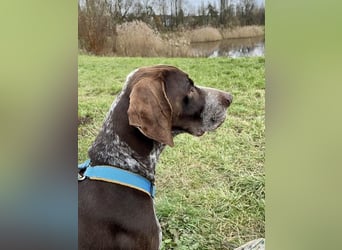 Ragnar, freundlich und sehr sozial