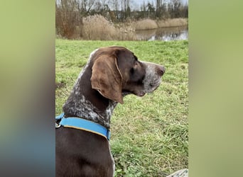 Ragnar, sehr menschenbezogen und freundlich