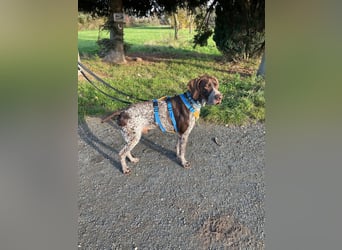 Ragnar, sehr menschenbezogen und freundlich