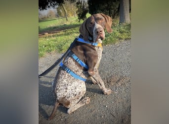 Ragnar, sehr menschenbezogen und freundlich