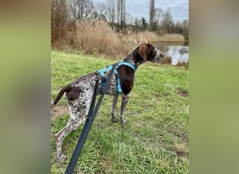 Ragnar, aktiv freundlich und menschenbezogen