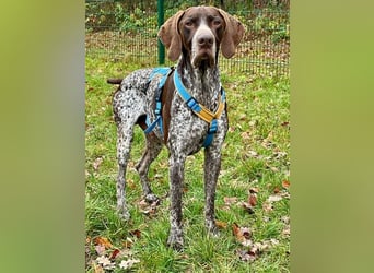 Ragnar, freundlich und sehr sozial