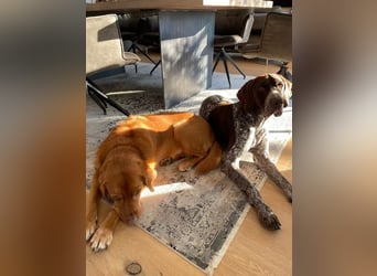 Ragnar, freundlich und sehr sozial