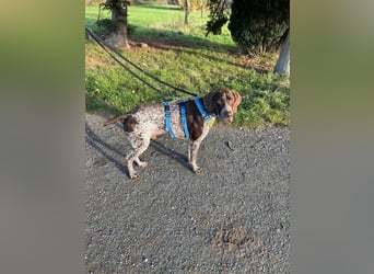 Ragnar, aktiv freundlich und menschenbezogen