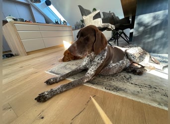 Ragnar, sehr menschenbezogen und freundlich