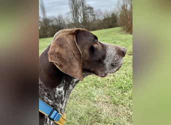 Ragnar, freundlich und sehr sozial