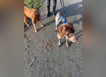 Ragnar, sehr menschenbezogen und freundlich