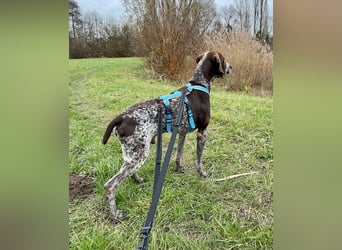 Ragnar, sehr menschenbezogen und freundlich