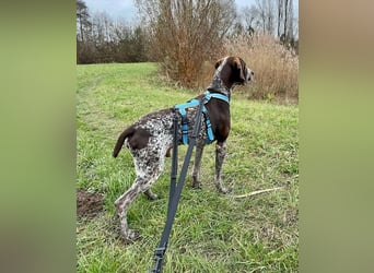 Ragnar, freundlich und sehr sozial