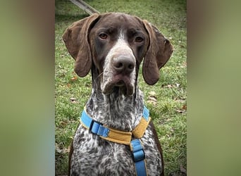 Ragnar, aktiv freundlich und menschenbezogen