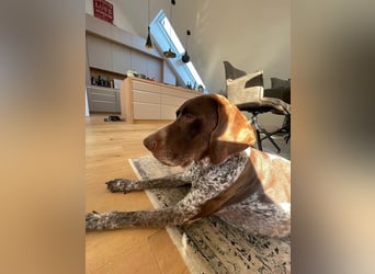 Ragnar, freundlich und sehr sozial