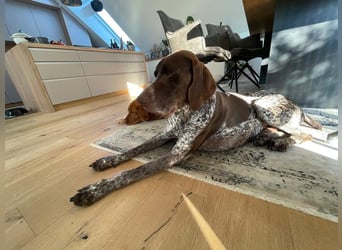 Ragnar, freundlich und sehr sozial