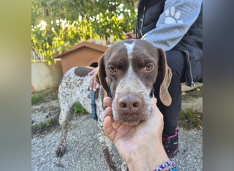 Jakob - ein feiner Kerl sucht seinen Lieblingsmenschen