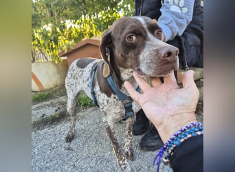 Jakob - ein feiner Kerl sucht seinen Lieblingsmenschen