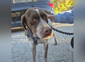 Jakob - ein feiner Kerl sucht seinen Lieblingsmenschen
