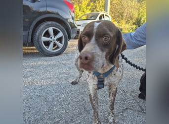 Jakob - ein feiner Kerl sucht seinen Lieblingsmenschen