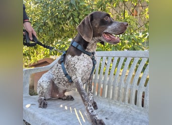 Jakob - ein feiner Kerl sucht seinen Lieblingsmenschen
