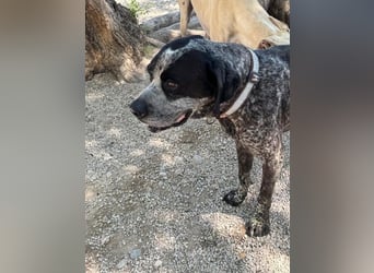 Wer schenkt Lennon Vertrauen?