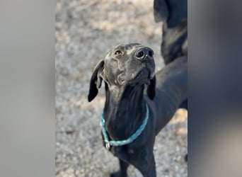 Morena, freundlich und aktiv