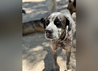 Lennon, hofft so sehr auf sein Happyend