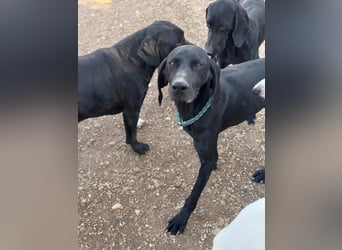 Morena, freundlich und aktiv