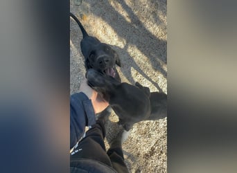 Morena, freundlich und aktiv