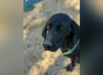 Morena, freundlich und aktiv