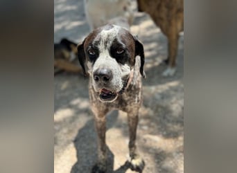 Lennon, hofft so sehr auf sein Happyend