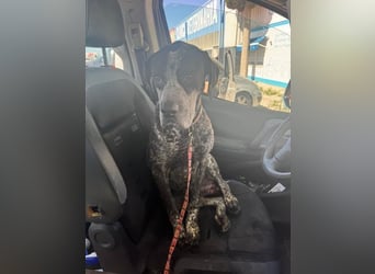 Lennon, hofft so sehr auf sein Happyend