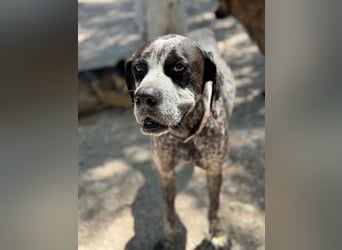 Lennon, hofft so sehr auf sein Happyend