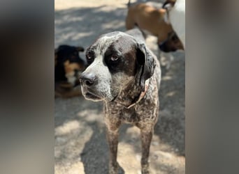 Wer schenkt Lennon Vertrauen?