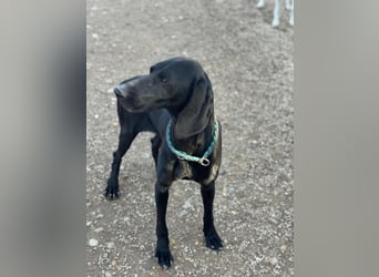 Morena, freundlich und aktiv