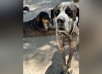 Lennon, hofft so sehr auf sein Happyend