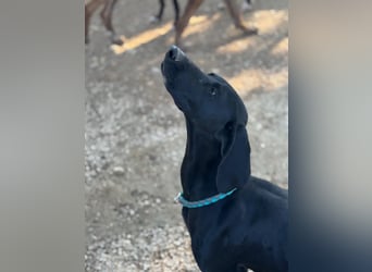 Morena, freundlich und aktiv