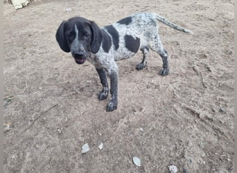 PLUMA-Kuscheln unbedingt erwünscht- Süsses Mädchen sucht liebevolle "Für-immer-Familie"